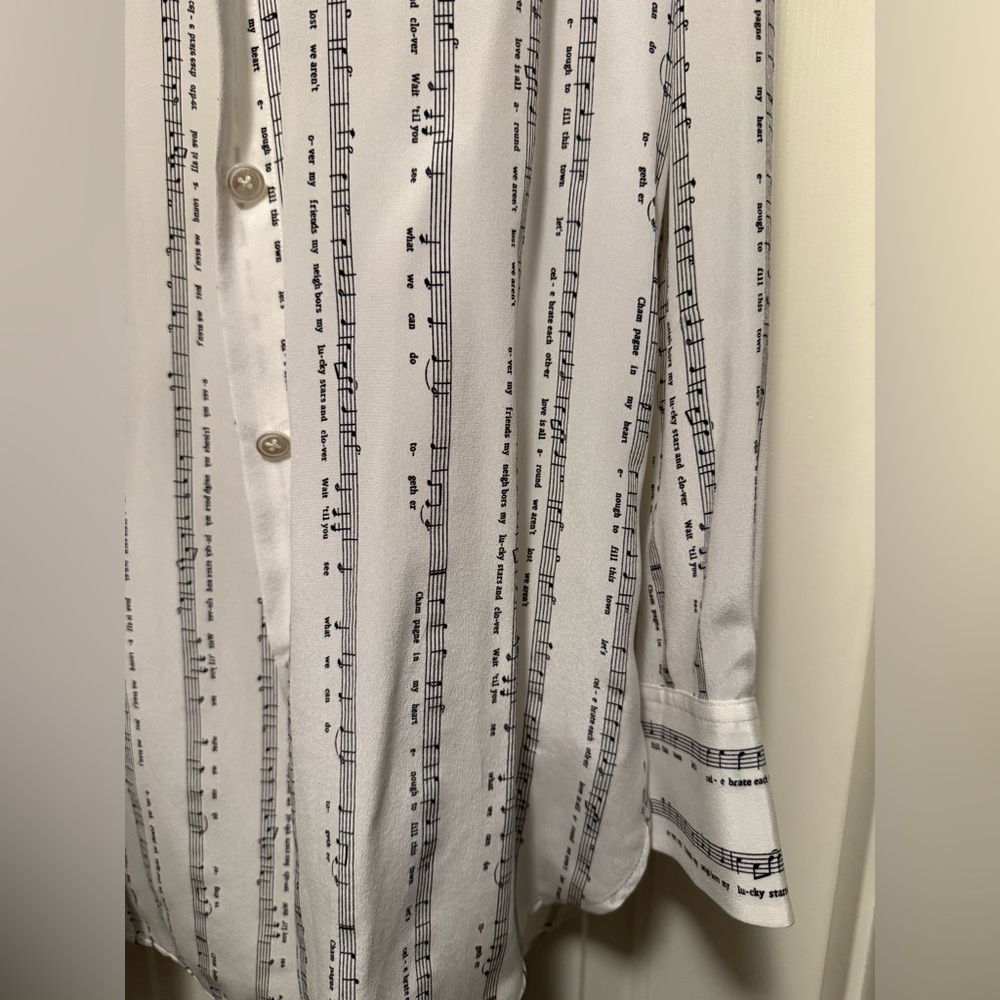 Equipment Bradner Silk Music Shirt Large Button Down - Picture 3 of 4